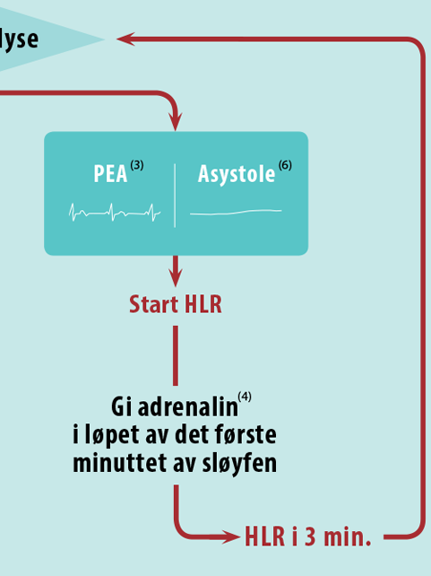 AHLR P Barn A5 Plakat Gjenoppliving no