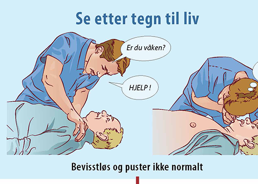 DHLR Veggplakat Gjenoppliving no